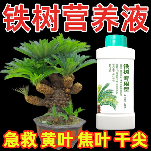 铁树专用营养液铁树盆景肥料苏铁树盆栽专用肥料防黄叶干枯专用药