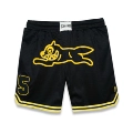 Black Yellow Dog