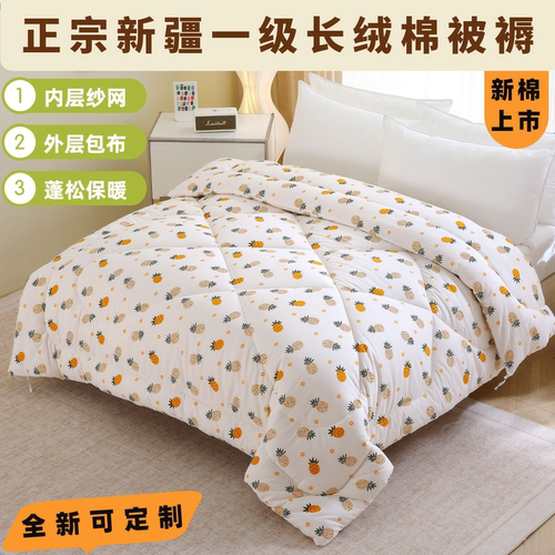 棉被新疆纯棉花被芯学生宿舍褥子