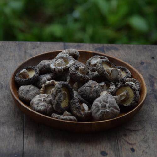 暖穗香菇干香菇香浓美味