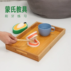 Montessori Mẫu giáo mầm non dạy học tìm hiểu về cuộc sống đánh răng bàn chải đánh răng trẻ em trai và trẻ em gái khay răng mô hình răng giả