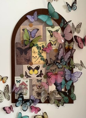 小红薯蝴蝶毛毡板墙贴照片墙留言软木板展示卧室玄关背景墙装饰画