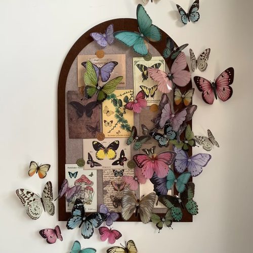 小红薯10万人种草蝴蝶毛毡板照片