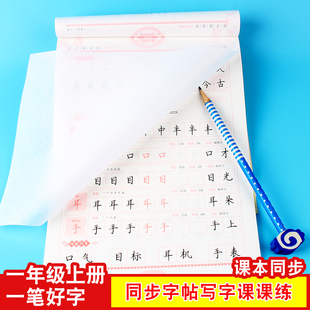 写字课课练同步字帖一年级上册人教版教材一笔好字罗扬字帖小学语文硬笔书法练习本临摹描摹蒙纸字帖笔顺部首笔画结构课后专项训练
