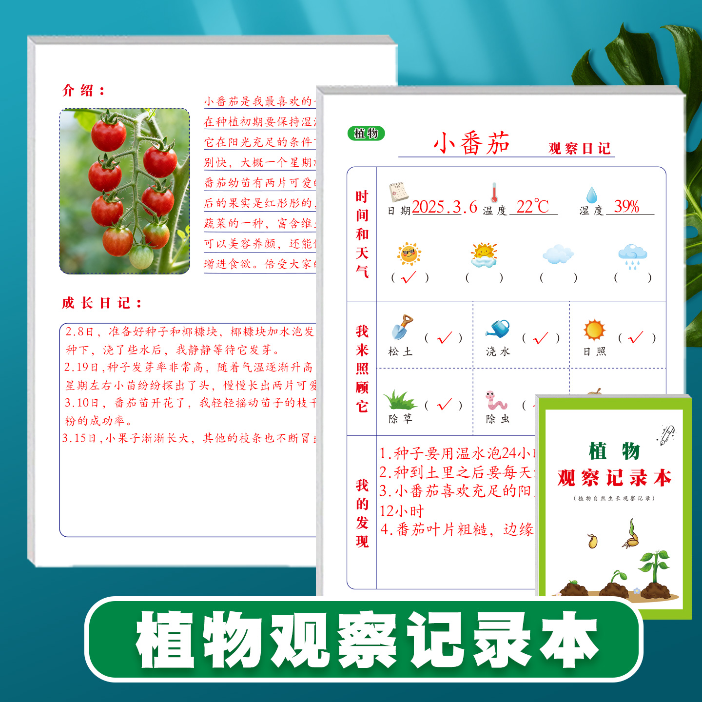 小学生动物植物观察记录本