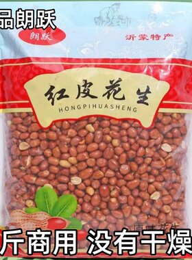 朗跃油炸红皮花生米原味咸味商用5斤大包批发小吃店餐饮烧烤配菜