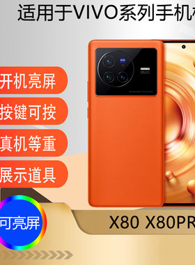 适用于VIVOX80手机模型