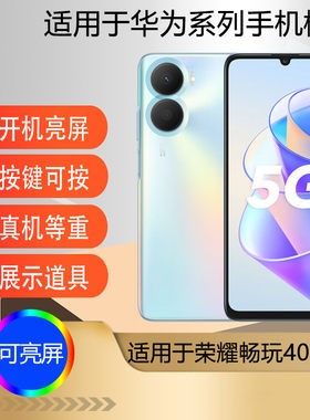 适用于荣耀畅玩40plus手机模型