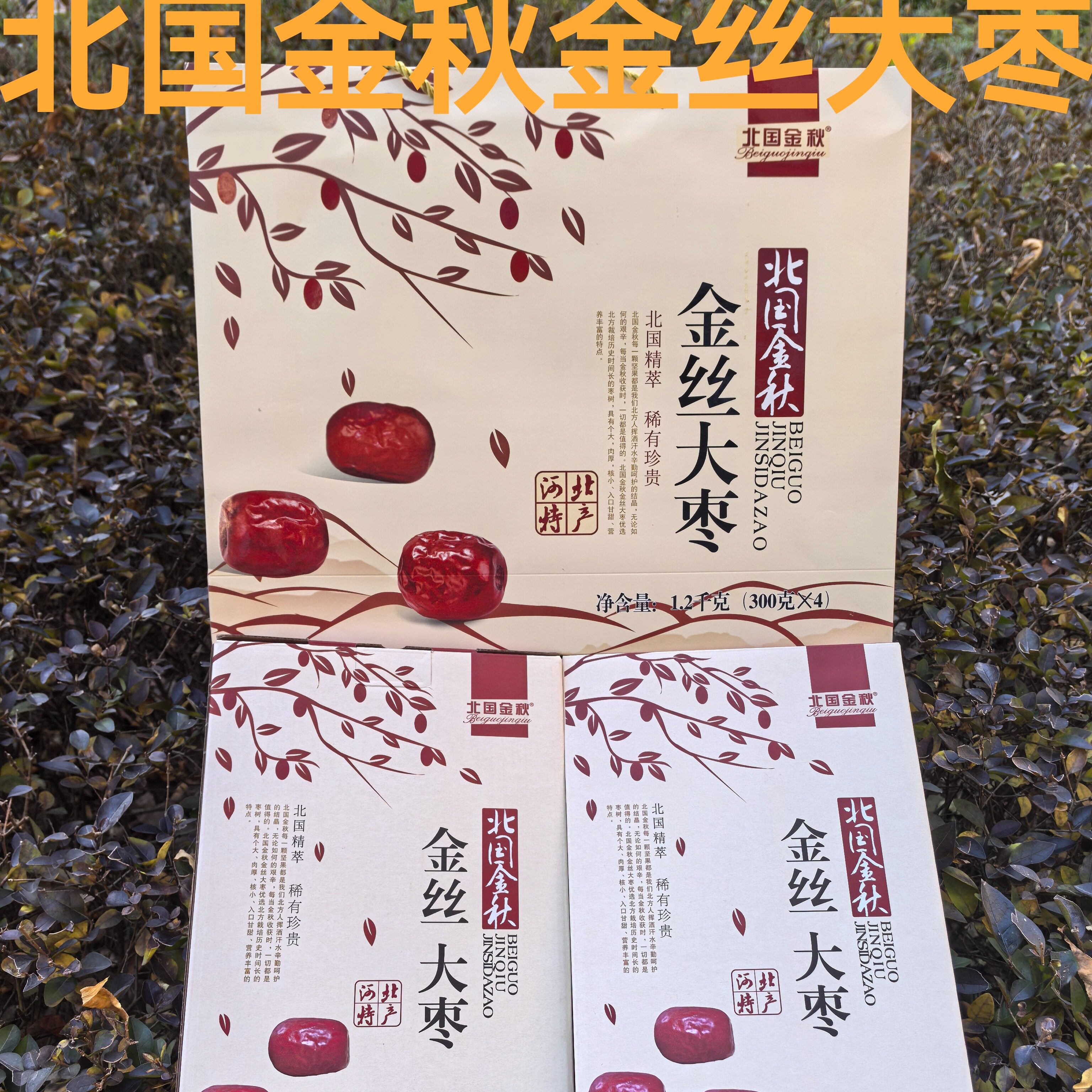 河北特产石家庄北国金秋大红枣一级红枣干果零食散装礼盒1200克