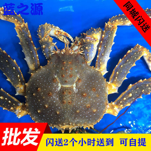 帝王蟹