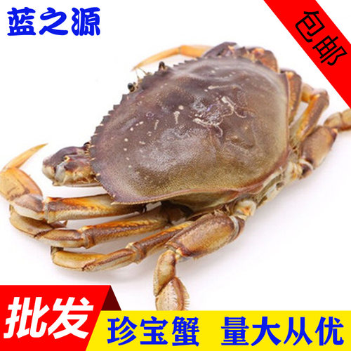 新鲜珍宝蟹鲜活生冻英国面包蟹鲜活黄金蟹膏蟹海鲜大螃蟹600-750g