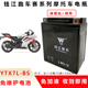 适用钱江赛250mini赛250赛150闪150闪250逸250追150摩托车电瓶12V