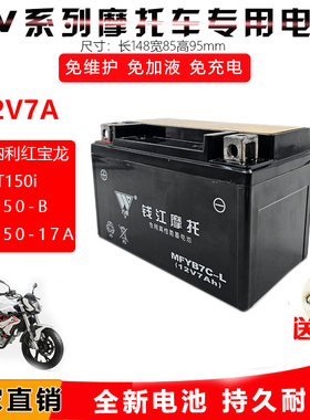 适用蓝宝龙 红宝龙QJ150-17A QJ125F-3ATNT150-I摩托车免维护电池