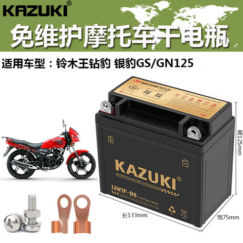 铃木王钻豹银豹GS/GN125电瓶