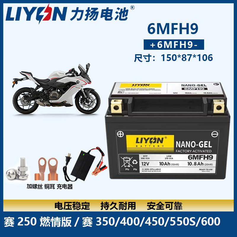 适用钱江追350/600赛250/600/350鸿350逸550骁500闪300力扬电瓶图片