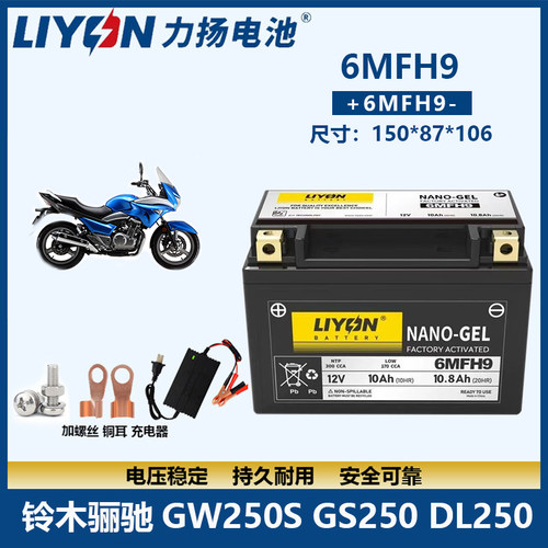 适用力扬电瓶铃 木骊驰GW250F/S DL250 GSX250R 摩托车电池6MFH9