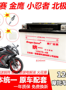 摩托车水电瓶仿赛 金鹰 小忍者 北极光 赤马兔 地平线 迅龙蓄电池