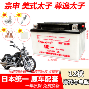 ZS150 摩托车水电瓶宗申ZS150 太子 RA1美式 30P尊逸太子蓄电池
