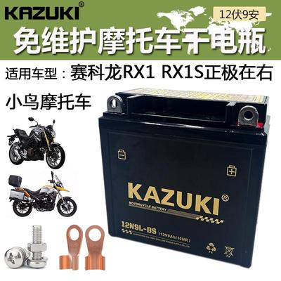 适用赛科龙RX1/RX1S小鸟摩托车配套电瓶12V9A/10HR干蓄电池