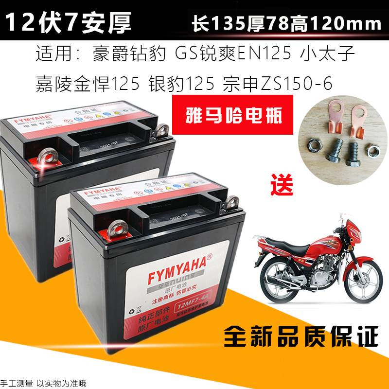 钱江摩托车125/150通用电瓶钱江太子 金刚御龙12V7A免维护蓄电池