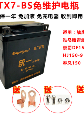 摩托车电瓶12v6A免维护统一通用MTX7L-BS新大洲本雅马哈飞致250