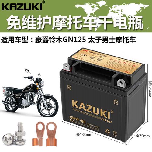 GN125太子款摩托车电瓶