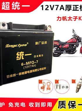 适用力帆KPV150 KPT200 KPR200 KPM200 K19太子摩托车免维护电瓶