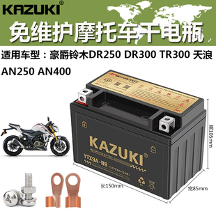 适用豪爵摩托车干电瓶DR250 DR300 TR300 天浪 AN250 AN400蓄电池