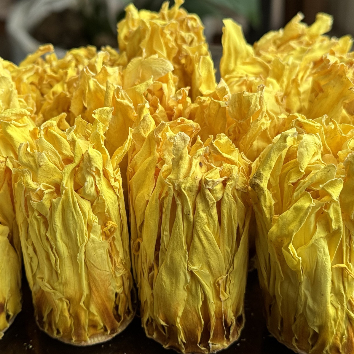 台湾九品香水莲花茶基地直发十三品黄金国莲干花养生茶紫金香水莲,茶,代用/花草茶,淘宝优惠券,粉丝福利购,淘宝优惠卷