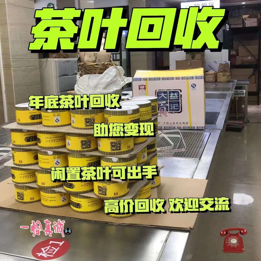 回收特级礼品茶叶大益 品品香晒白金茶叶回收礼品茶叶 白茶回收