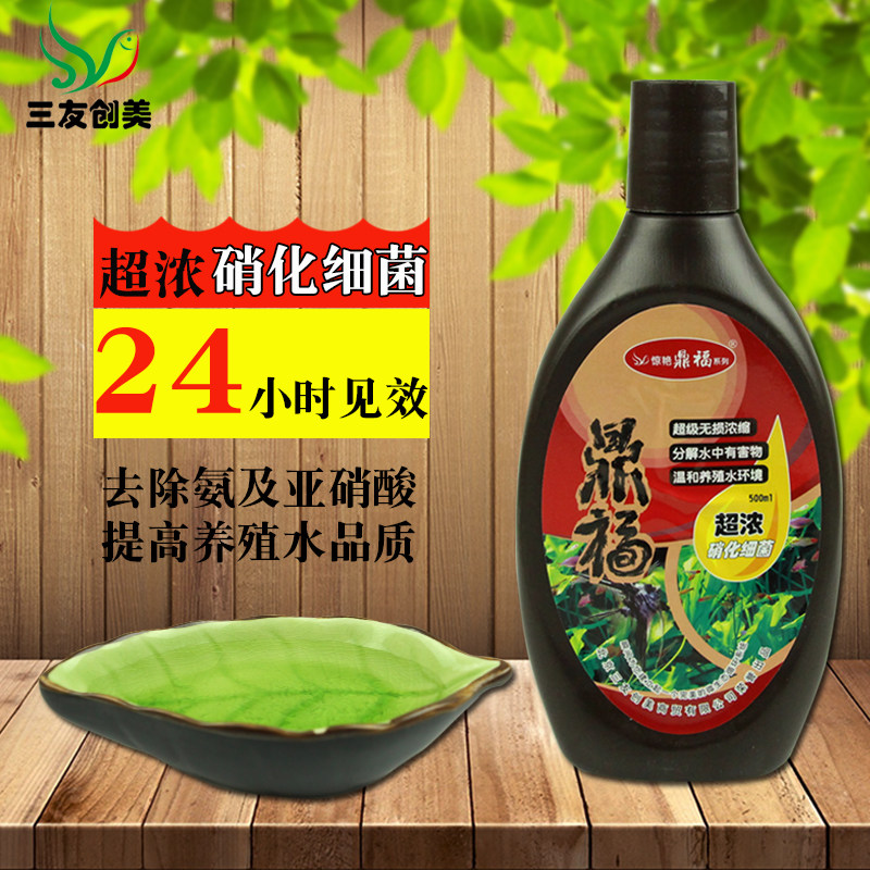 鼎福超浓硝化细菌三友创美