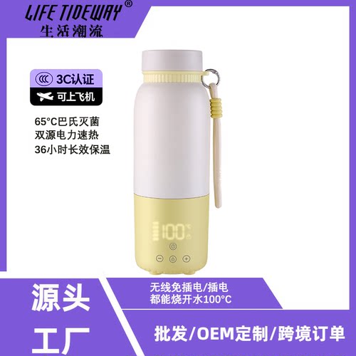 双层不锈钢真空电热水杯500ML