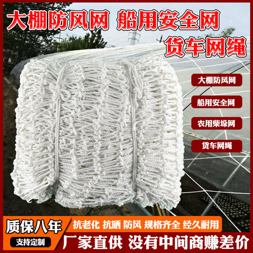 船用安全网大棚防风英博隔离网