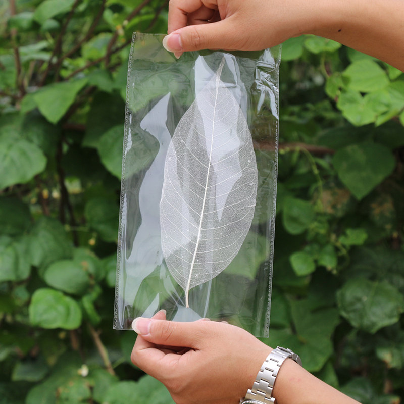 Magnolia Vein medium , please Bodhi bookmark Dried flowers Material Science Vein flower make Material Science Magnolia Tree Vein painting specimenin the Home accessories , Vase/Flower/Artificial flowers/Imitation jewelry , Dried flowers/Petal/Dried package/Dry twigs  category - from Buy2taobao.com to provide professional Taobao agent buy service