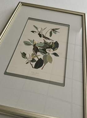 （画框）顺丰不包邮成品框实木相框挂墙创意装饰花草小鸟海报整套