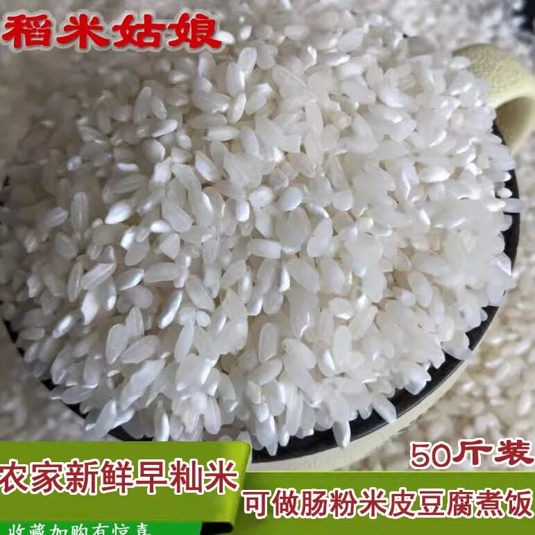 早籼米陈米糙米早稻米肠粉专用杂交新安徽农家不粘不糯米25kg50斤 - 实物图