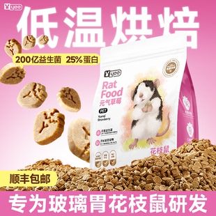 yee花枝鼠专用粮益生菌高蛋白烘焙粮大白鼠营养易吸收粮食非自配