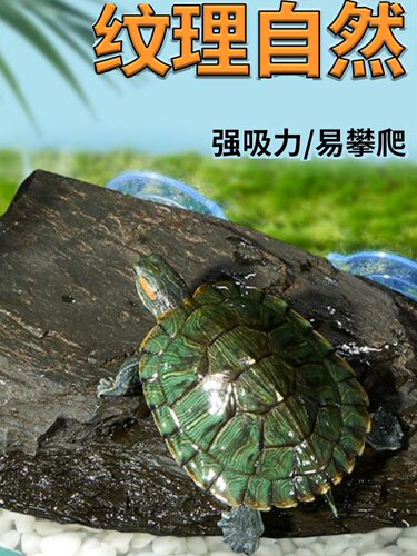 龟晒平台爬平台深水大高水位巴西龟晒平台石龟缸爬梯浮岛晒平台