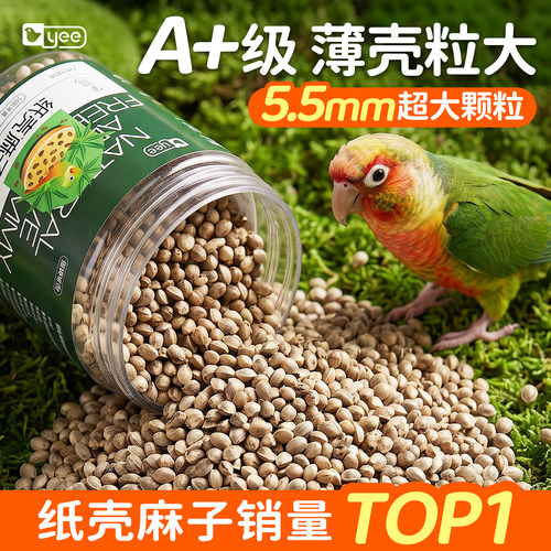 五层筛选5.5mm火麻子薄皮鸟零食