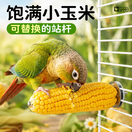可替换鹦鹉玉米磨牙棒站杆