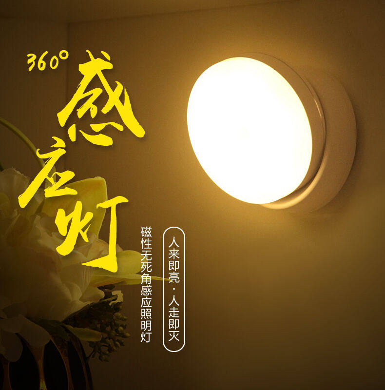 大九卫智能人体感应led小夜灯家用光控夜间过道智能人体自动感应