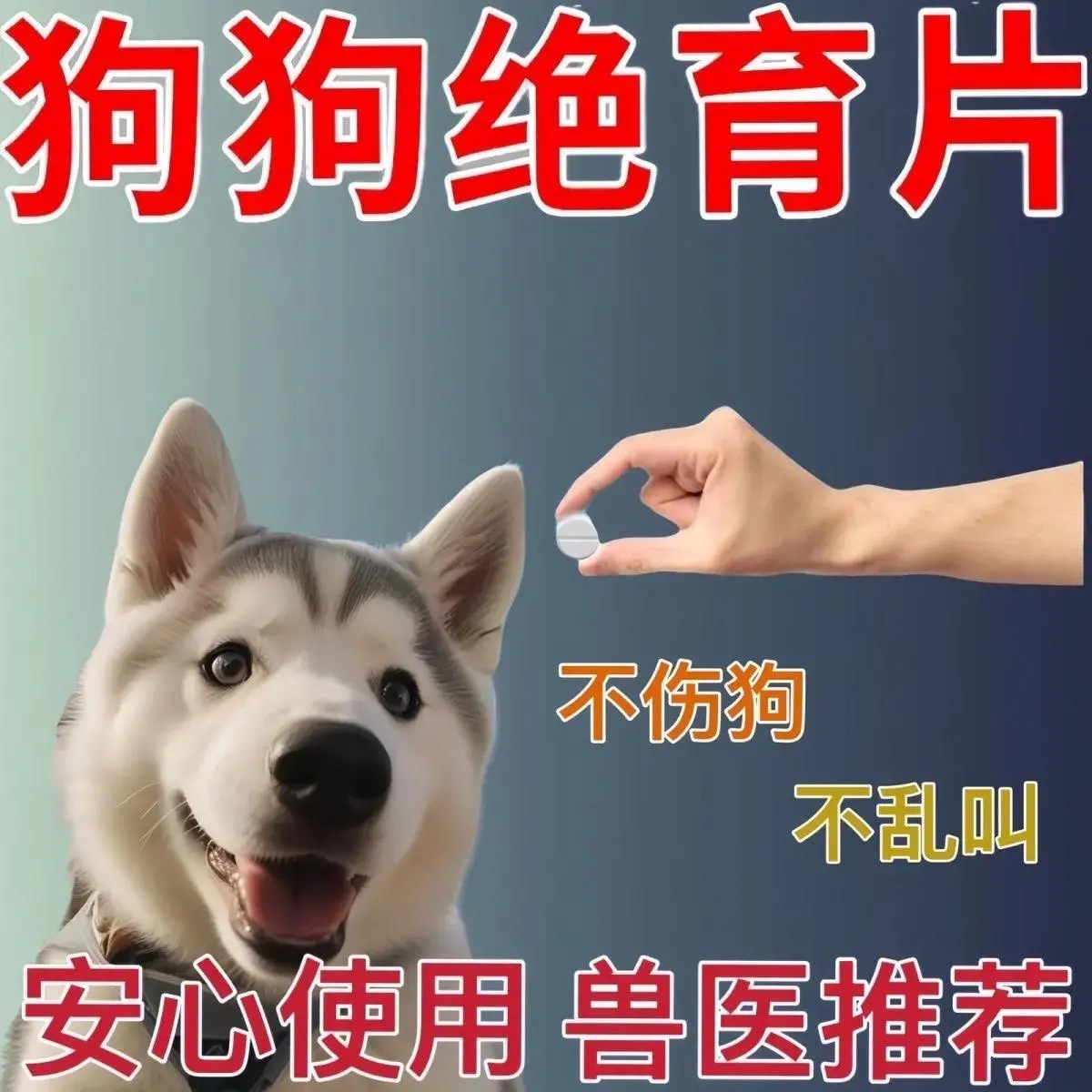 不生崽】狗狗绝育片公母通用终身永久禁情片不乱尿不骑跨抑情片