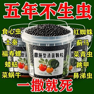 菜地撒施型杀虫颗粒土壤除虫防治土传瓜果蔬菜驱虫无毒无农残通用