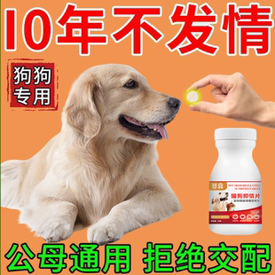 不生崽 狗狗绝育片公母通用终身永久禁情片不乱尿不骑跨抑情片