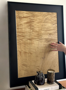 【金丝楠木入画】风水摆件高级现代玄关挂画客厅背景墙镇宅装饰画