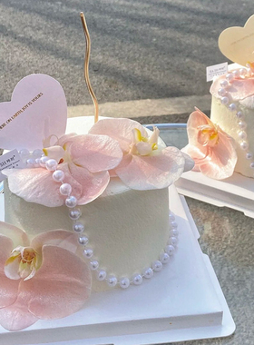 2.14情人节蝴蝶兰蛋糕装饰摆件网红情侣表白节日珍珠链插件