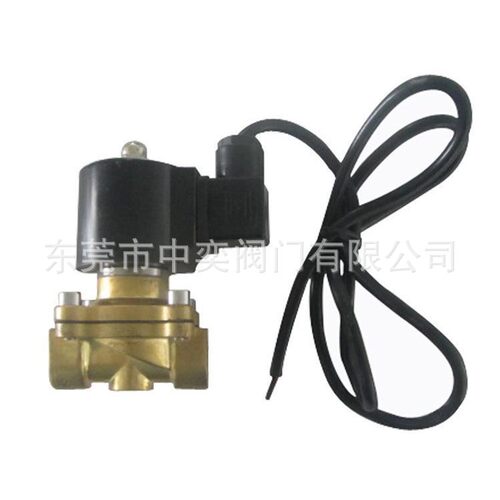 水下电磁阀DN15-20-25-32-40-50 防水电磁阀4分6分1寸电磁阀220V