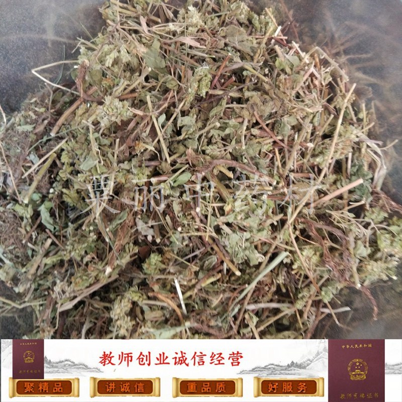 土茵陈 中药材 土香薷 小叶薄荷满坡香白花茵陈香草五香草山薄荷