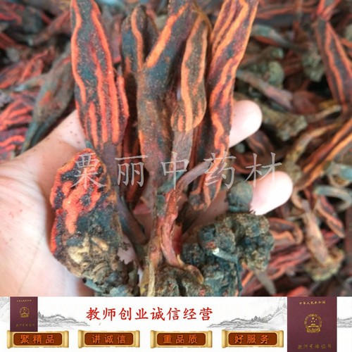 野生不老草顶天柱回春草