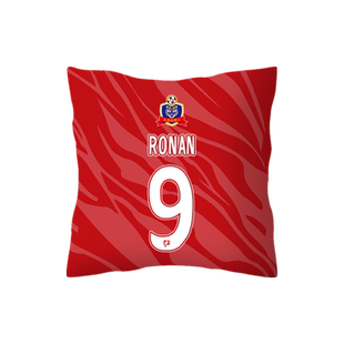 2024赛季延边龙鼎队足球迷户外双肩背包电脑包运动防水学生书包